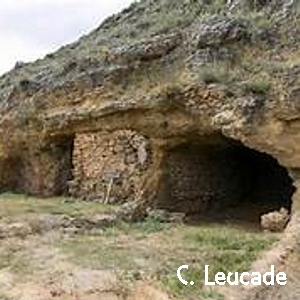 Contrebia Leucade - Inestrillas (LR)