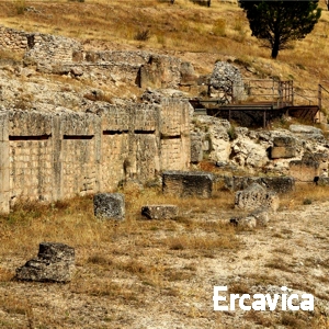 Trashumancia Tierras Altas, Soria