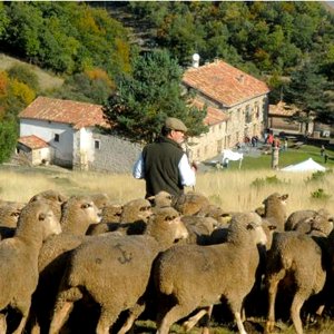 Trashumancia en La Rioja