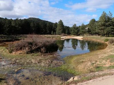 Nacimiento del Río Tajo