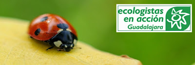 Ecologistas en Acción